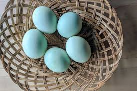 Balik telur dengan bantuan piring agar tidak pecah saat dibalik. Apakah Telur Asin Bisa Busuk Begini Cara Simpan Yang Baik
