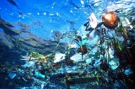 Jun 22, 2018 · 10 laut terbesar di dunia. Pusaran Sampah Lautan Terbesar Dunia Berada Di Great Pacific Garbage Patch Portal Dan Media Berita Lingkungan Hidup