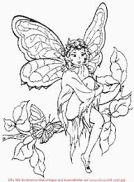 Pin On Fairies