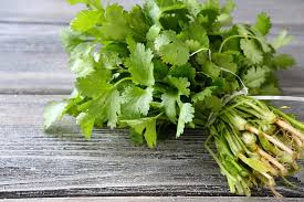 In this article, learn how cilantro may improve health, how to use it in dishes, and who should avoid it. Dried Cilantro Vs Fresh Spiceography Showdown Spiceography