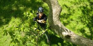 Pruning with Prescriptive Perspectives