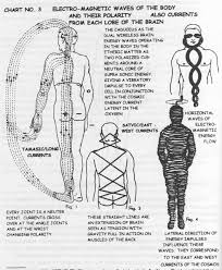 Collection Of Human Frequencies Reflexology Chakra