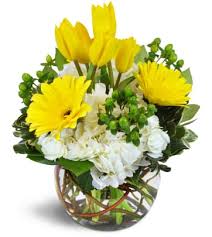 Mostly shaded level paths that run along the logan river. Logan Ut Florist Free Flower Delivery In Logan Ut Lee S Corner Floral Shop