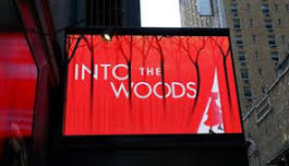 Into the Woods