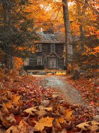Fall Retreat Herbstlandschaft Herbstgefuhl Bilder