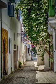 Old Tunisian Streets Tunisian Tunisia Tunis