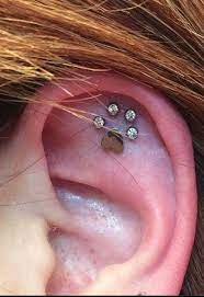 Tattoo Ideas Behind The Ear Dads 54 Ideas Ohr Piercing Spiderbite Piercings