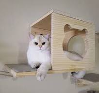 Wall Wooden Cat House Wall Mounted Kitten Villa Climbing Frame Floating  Shelf for Sleeping and Resting Wall Furniture - AliExpress 15