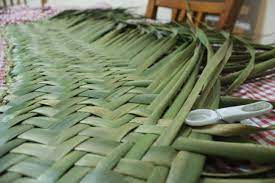 Pin By Ariana Lee On Mahi Raranga Weaving For Kids Flax Weaving Weaving