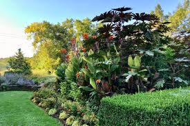 Oudolf, who is dutch, is the leading exemplar of the you want a moment in the garden to be quiet. What To Do With Your Plants For The Winter The New York Times