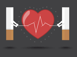 Le coeur des hommes 2 pas cher : Le Tabac Et Les Maladies Cardiaques Tabacstop