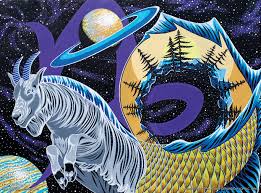 Image result for Dyschoriste capricornis