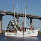 Florida Seafood Festival event image