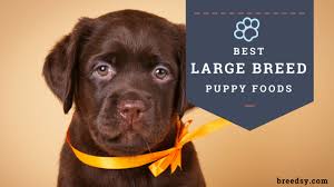 11 Best Large Breed Puppy Foods With Our Most Affordable Pick 2020 Large Breed Puppy Food Puppy Food Dog Training Near Me