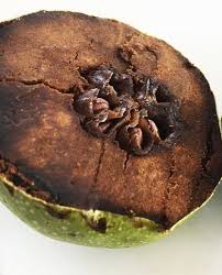 Image result for Diospyros batocana