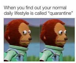 Submitted 19 days ago by dr_ploop_ploop. 15 Relatable Coronavirus Lockdown Memes To Keep You Entertained In Isolation Daily Star