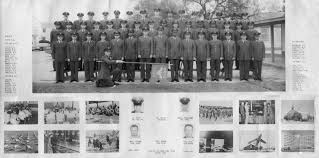 Image result for Blandford Violet 1968 Fleet