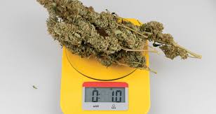In washington d.c., an ounce costs as much as $500. How Much Does One Ounce Of Weed Cost Beaver Bud