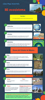 Click On The Image To View The High Definition Version Create Infographics At Http Venngage Com Bioma Ecosistemas Clima