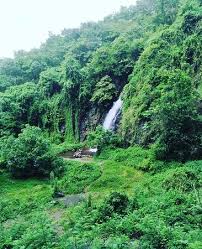 Payyambalam beach garden (2km) one of the major tourist destinations in kannur. The Top 10 Things To Do Near Parassinikadavu Muthappan Temple