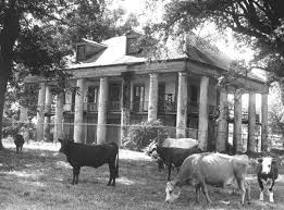 Pin On Louisiana Antebellum Architecture