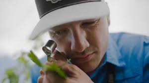 Curious George's Egg Hunt