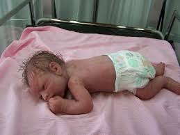 Birds And Bees Nursery Website Birds Bees Nursery Silicone Babies Munecos Bebe Reborn Bebe Bebes Reborn De Silicona