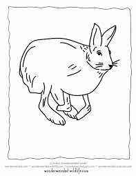 Rabbit coloring is another portion of excellent drawings with one of the cutest and funniest representatives of the animal world. Arctic Hare Coloring Page Coloring Home
