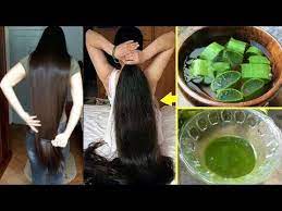 hizli sac uzatan gurlestiren sac maskesi seyrek sac ve yipranmis saclar son aloe vera aspirin youtube sac dogal cilt bakimi aloe