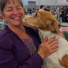 Alexa Adams (@foxmtnbrittanys) • Instagram photos and videos