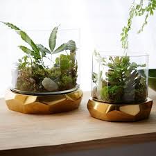 Pretty Freeform Terrariums Succulent Terrarium Green Home Decor Terrarium