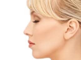 Ein folgender begriff neben nasenform lautet nasenform bei tieren (eintrag: Nasenkorrektur Klinik Am Rosental Leipzig