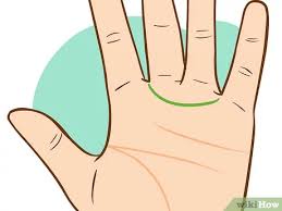 Information you can get from palmistry could be precious. 4 Ways To Read Palm Lines Wikihow