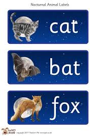 Teacher S Pet Nocturnal Animal Labels Free Classroom Display Resource Eyfs Ks1 Ks2 Da Nocturnal Animals Kindergarten Diurnal Animals Nocturnal Animals