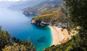 Δείτε τις παραλίες και τα πιο σημαντικά αξιοθέατα της καρύστου για να μην χάσετε τίποτα απο τις ομορφιά της περιοχής. Paralies Karystos Muse