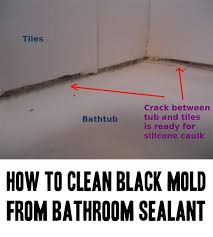 Seal & assist 5000 is black in color and is recommended for stopping leaks and reducing fugitive emissions on valves, pumps, flanges and gaskets. How To Clean Black Mold From Bathroom Sealant Home Garden Diy