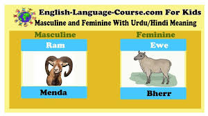 Ram Ewe Masculine And Feminine List Gender Examples Masculine Feminine