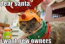 17 Of The Best Animal Christmas Memes To Get You Into The Christmas Spirit Christmas Cats Pet Holiday Holiday Pet Photos
