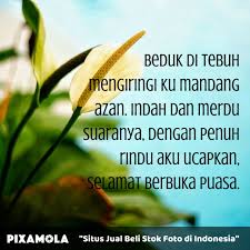 Meski hanya sekadar ucapan selamat berbuka puasa, siapa pun yang menerimanya pasti akan merasa bahagia, loh. 5 Ucapan Manis Selamat Berbuka Puasa Kumparan Com