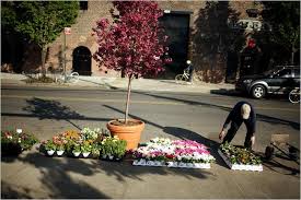 Check spelling or type a new query. New York S Nurseries Try A Transplant The New York Times