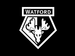 We at nine group own, develop and manage multiple branded hotels in the uk. Watford Fc Logo The Sports Marketing Group