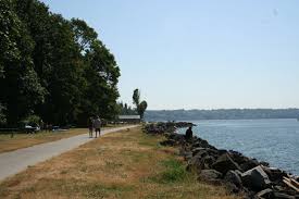 Visitors can enjoy fishing and paddling the inlets and bayous that wander through the salt marsh. Explore Saltwater State Park On Puget Sound Northwest Tripfinder