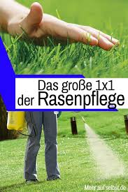 Rasenpflege Selbst De Rasenpflege Rasen Englischer Rasen