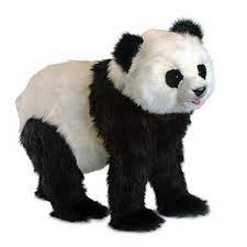 Pin On Pandas