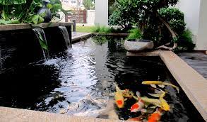 Halo perkenalkan, saya yudi pemilik website tukang kolam koi. Ahli Kolam Koi Dan Tukang Kolam Minimalis Di Cibinong Bogor Gardencenter Tukang Taman Jabodetabek