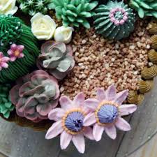 Cactus y suculentas └ plantas y esquejes └ plantas, semillas y bulbos └ artículos para terraza y jardín └ casa, jardín y bricolaje todas las categorías arte y antigüedades artesanía y manualidades bebés belleza y salud cámaras y fotografía casa, jardín y bricolaje cine. Curso Cactus Suculentas Y Flores Rosa Maria Escribano Cursos De Royal Icing Manga Y Boquilla En Barcelona