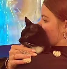 Lost cat at Waneta lake house?