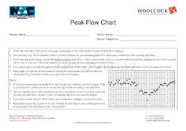 Preview Pdf Peak Flow Chart 1 2