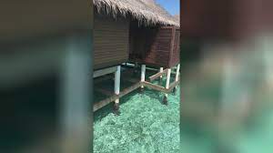 😣 Flitterwochen? Es sieht nach der besten Zeit aus, um von dem blonden  heißen Teen Angel Emily im Malediven-Paradies gefickt und tief in den  Rachen gesaugt zu werden - Videos - djav
