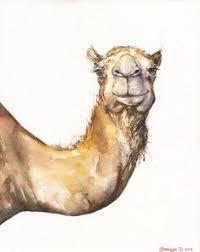 Download it's okay, that's love episode 1. Camels